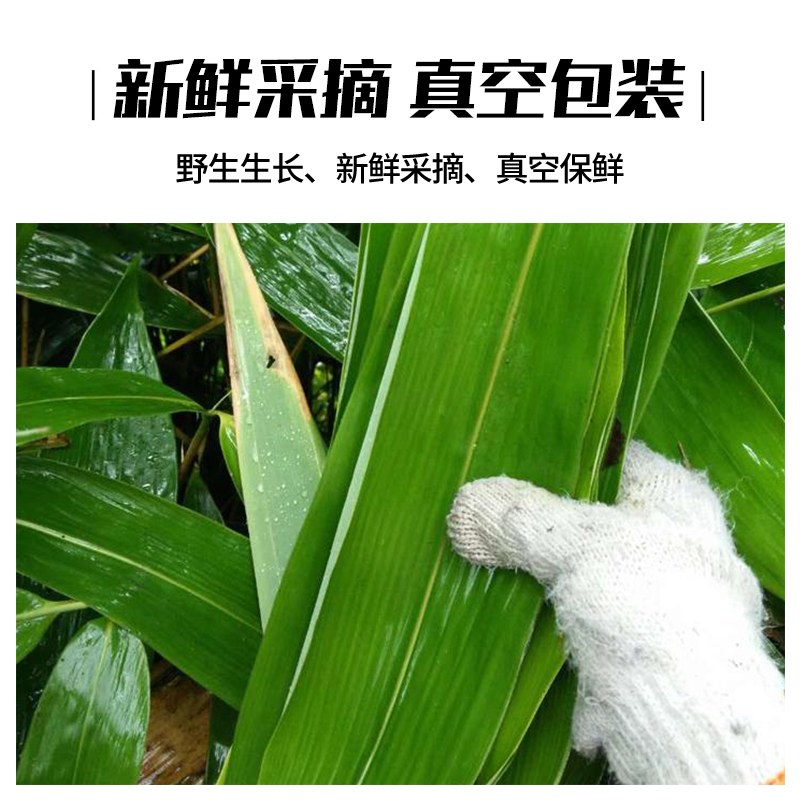 鲜粽叶粽子叶干大码新鲜野生大号包粽子的叶子大箬叶免邮广西新叶_古小二食品特产店_粮油调味/速食/干货/烘焙-第3张图片-提都小院