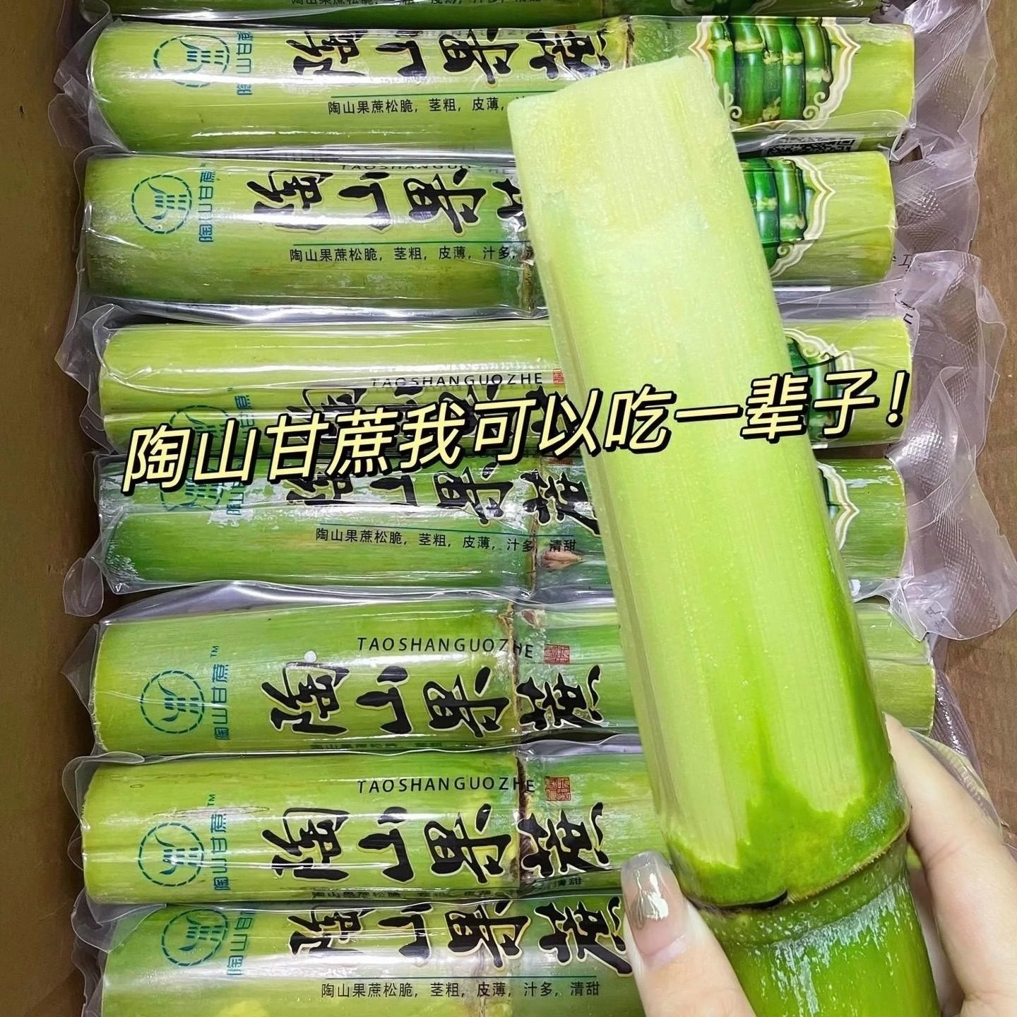 正宗陶山青皮甘蔗新鲜水果5斤当季特产绿皮甘蔗手撕脆皮整箱3包邮,淘宝优惠券,粉丝福利购,淘宝优惠卷