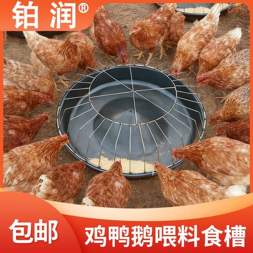 家用喂鸡食槽料槽防撒养设备鸭鹅喂鸡神器饲料桶自动喂食鸡饲料盆 - 图0