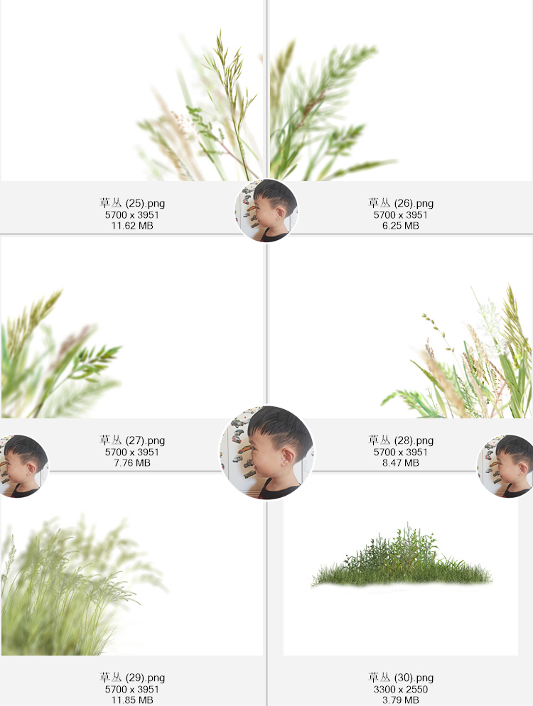 草丛杂草小草植物草原草地免扣PNG免抠图片外景合成PS素材-图3