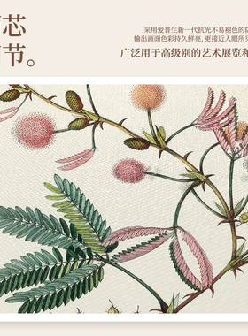 瓦简美式复古植物花卉装饰画