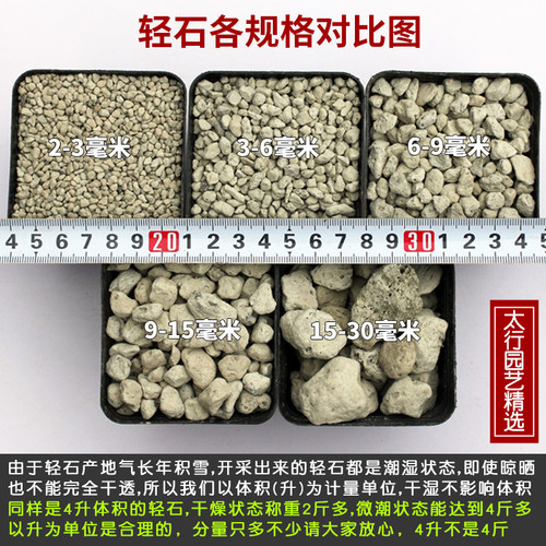 轻石颗粒 浮石钵底石兰石媲美日向石多肉兰花铺面垫底石水族滤材 - 图1