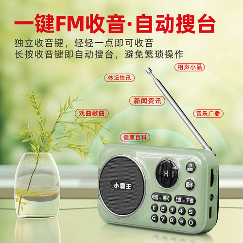 小霸王S56新款收音机老人专用多功能播放一体机插卡播放器播放机 - 图3
