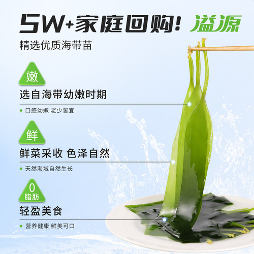 溢源新鲜有机海带苗火锅食材独立包装商用非干货盐渍海带芽凉拌菜 - 图0
