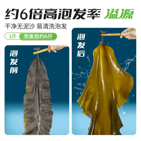 溢源海带干货海带头非特级特厚昆布商用海带丝煲汤凉拌日晒干海带 图片 3