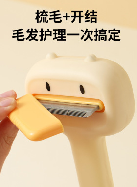 猫咪针梳宠物清洁美容洗