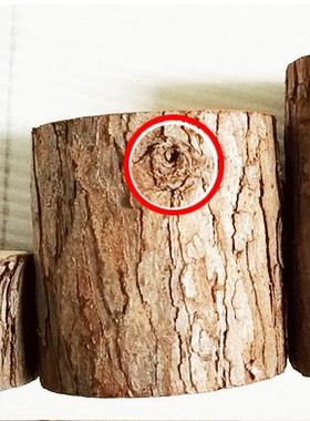 实木原木桩小木桩木椴背景装饰带皮木柴田园风装饰摆件