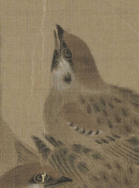 工笔画白描底稿花鸟瓦雀栖枝