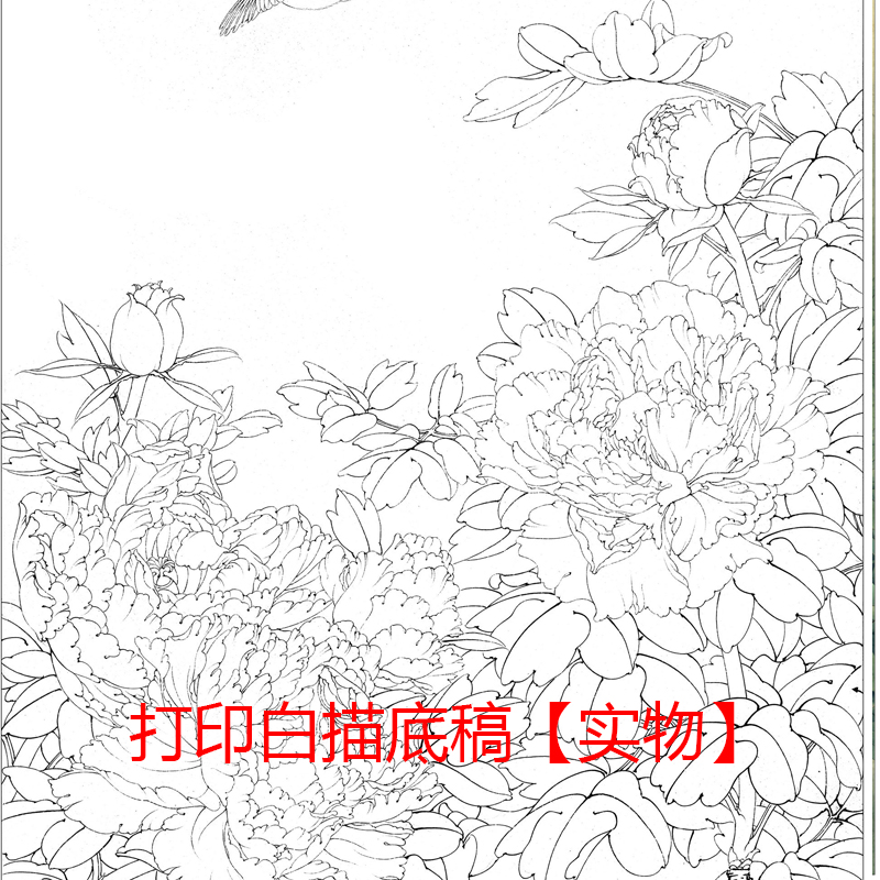 国画新款图案白描底稿竖幅花鸟四尺六尺初学者临摹透稿勾线练习 - 图1