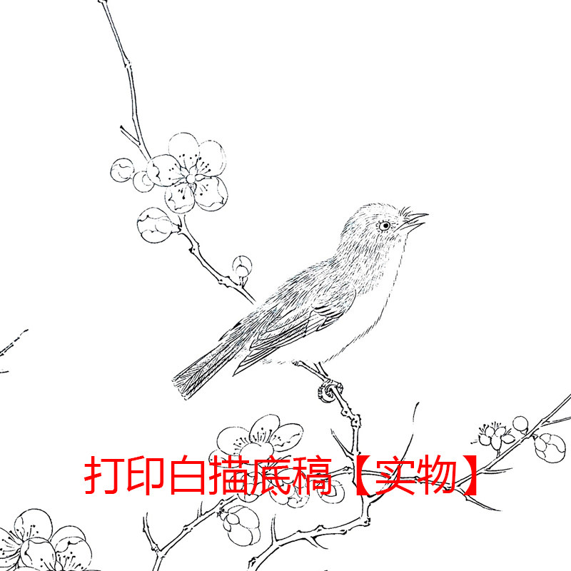工笔画打印白描底稿宋画斗方花鸟小品初学者熟宣临摹练习勾线_虎窝淘