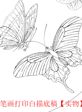 工笔画打印底稿宋画《晴春戏蝶图》临摹初学者线描宣纸过稿素材