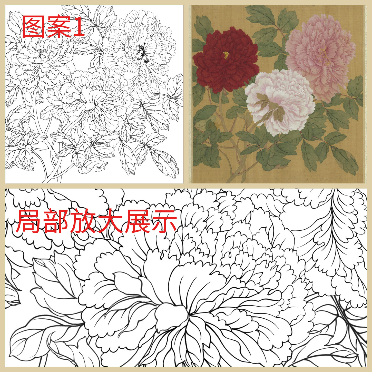 单选】工笔画打印白描底稿斗方牡丹花卉高清板绘线描初学者临摹,淘宝优惠券,粉丝福利购,淘宝优惠卷