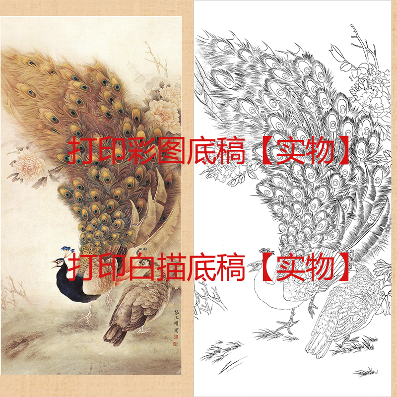 国画底稿新款竖幅孔雀白描线稿初学者钩线练习宣纸过稿装饰画 - 图0