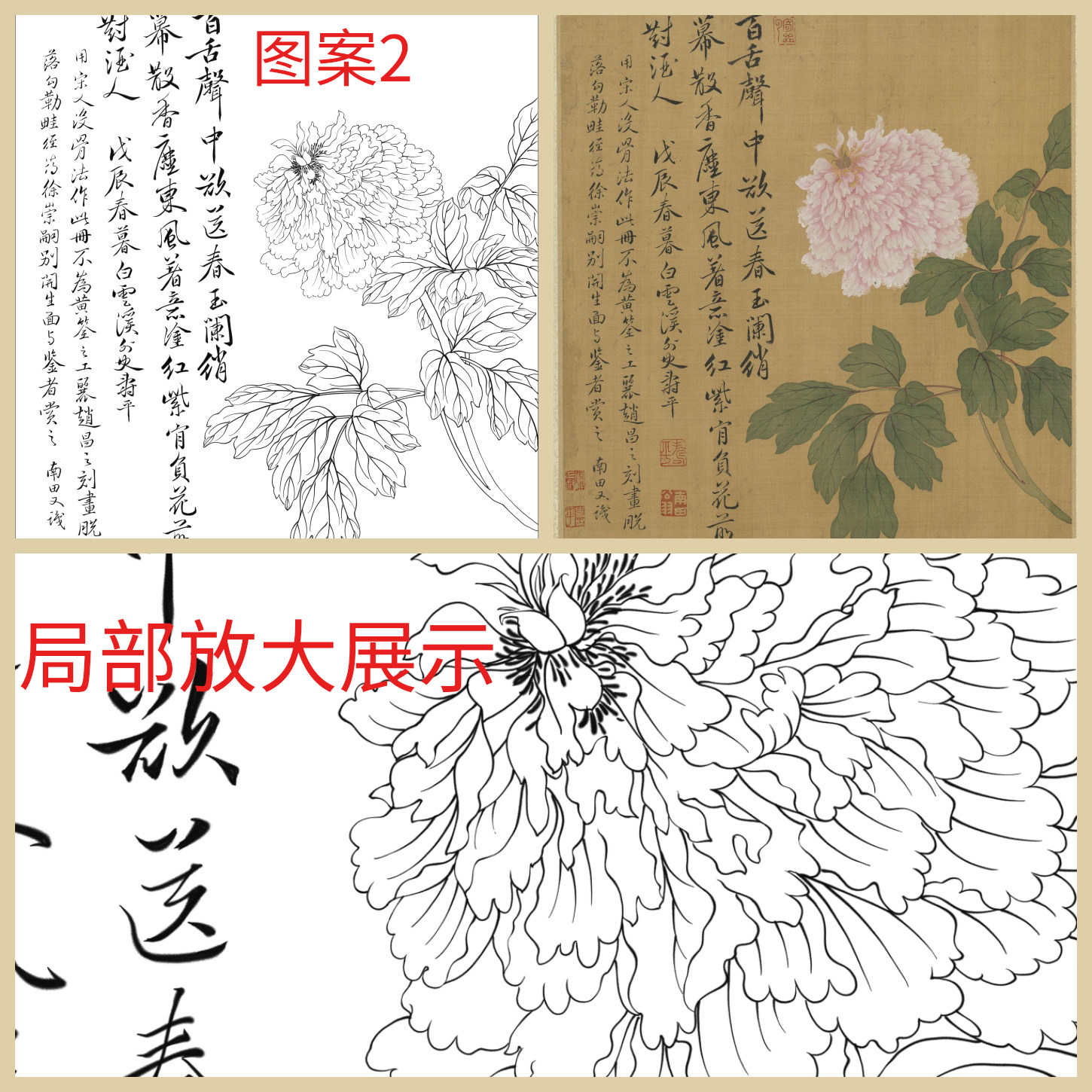 单选】工笔画打印白描底稿斗方牡丹花卉高清板绘线描初学者临摹,淘宝优惠券,粉丝福利购,淘宝优惠卷