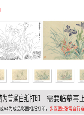 初学者临摹白描底稿小品