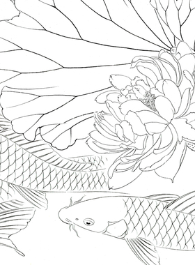 国画打印白描底稿雪青横幅牡丹