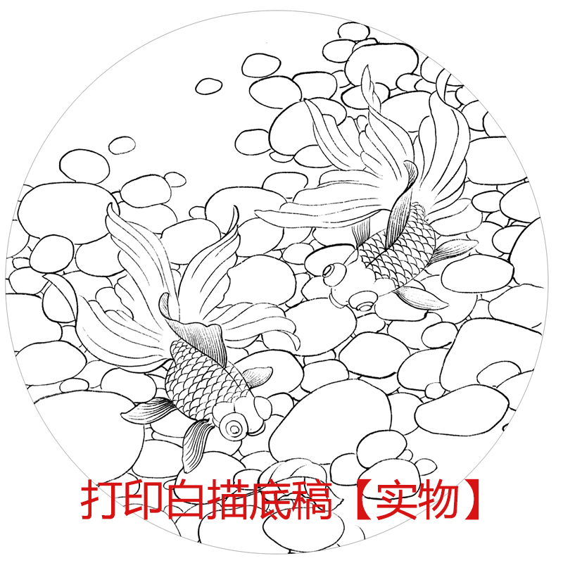 工笔画底稿新款圆形金鱼白描线稿初学者钩线练习宣纸过稿diy - 图2