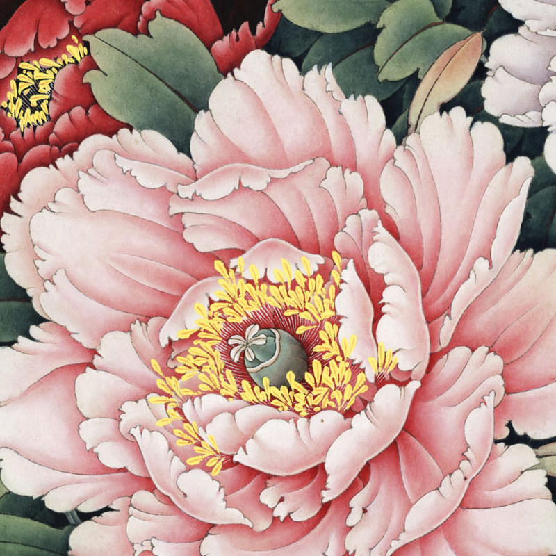 [有步骤】工笔画打印白描底稿李晓明横幅牡丹初学者临摹宣纸过稿,淘宝优惠券,粉丝福利购,淘宝优惠卷