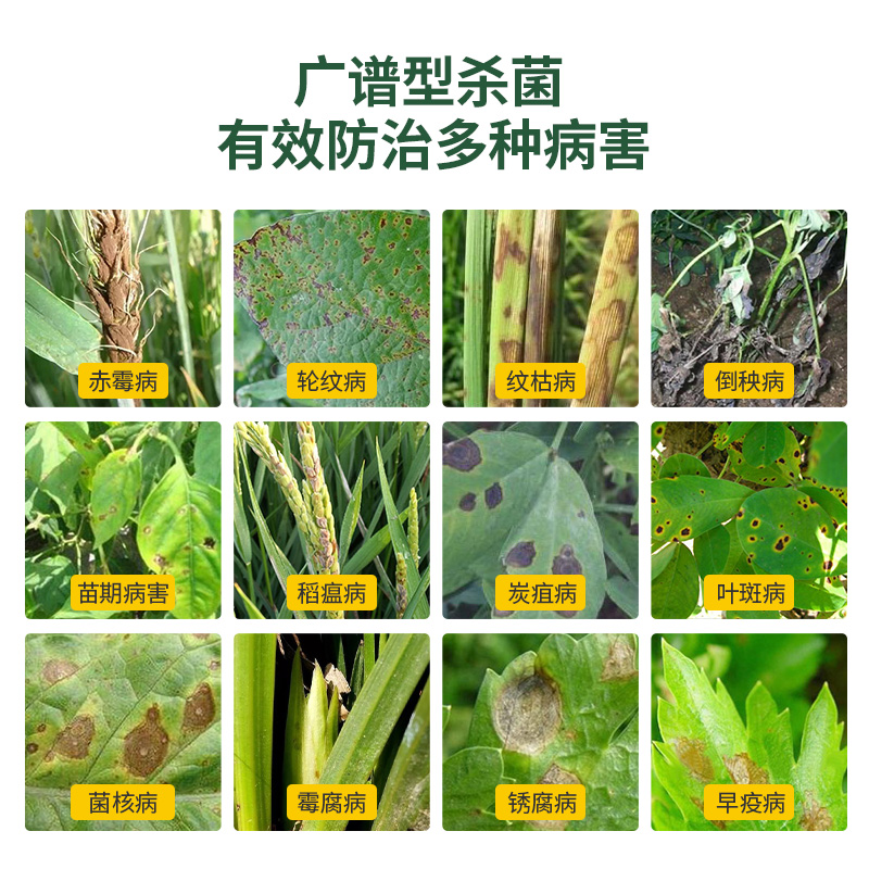 花卉植物多菌灵杀菌剂多肉兰花花药病害白粉病黑斑病通用型药剂 - 图1