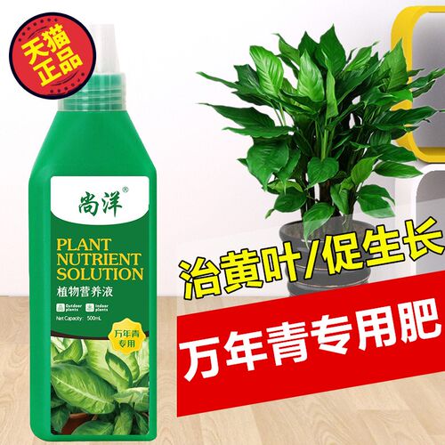 万年青专用肥营养液家用室内养花肥料盆栽通用型银皇后有机复合肥 - 图3