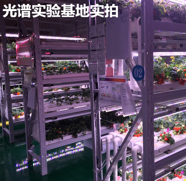 全光谱高显指led硬灯条5730高亮12V珠柜台手机珠宝柜台灯植物生灯,淘宝优惠券,粉丝福利购,淘宝优惠卷