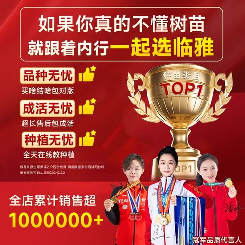 广西钦蜜9号百香果苗四季不断结果黄色水果盆栽树苗果树纯甜种植 - 图3
