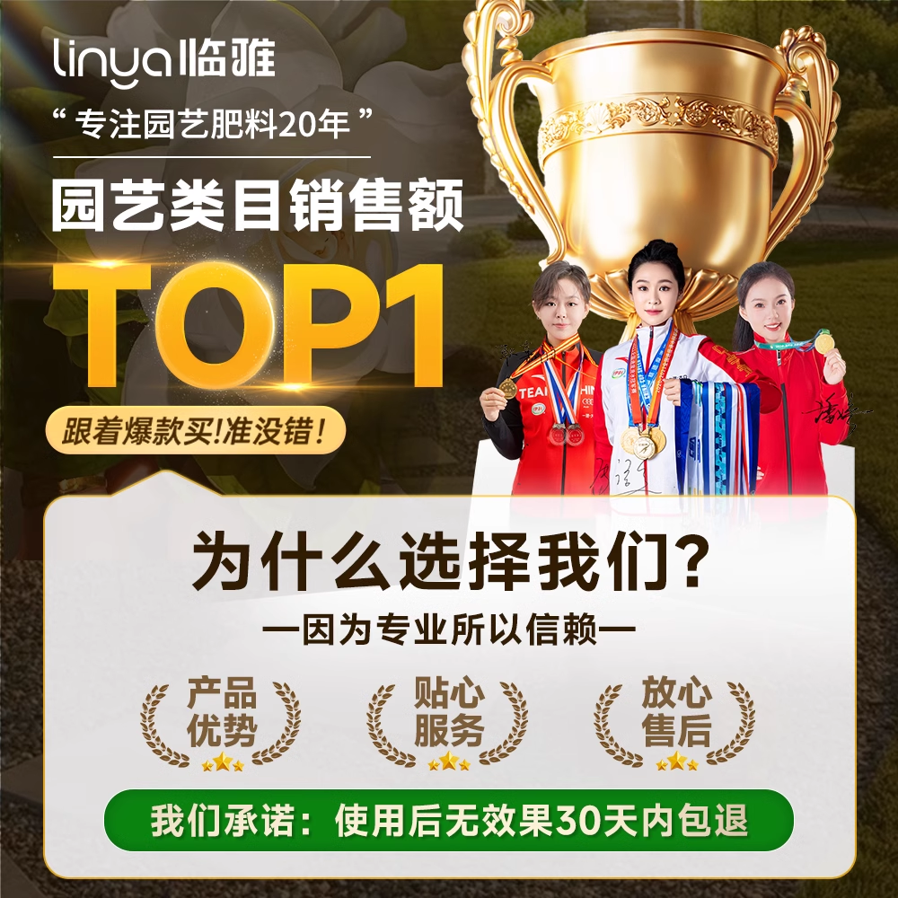 免稀释文竹专用植物营养液治黄叶烂根肥料家用盆栽植物液体复合肥,淘宝优惠券,粉丝福利购,淘宝优惠卷