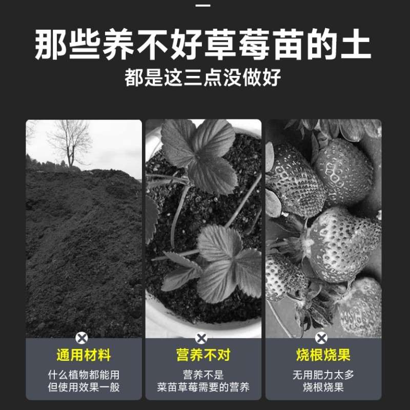 草莓专用营养土盆栽种植土泥土蔬菜种菜育苗土壤阳台肥料批发通用,淘宝优惠券,粉丝福利购,淘宝优惠卷