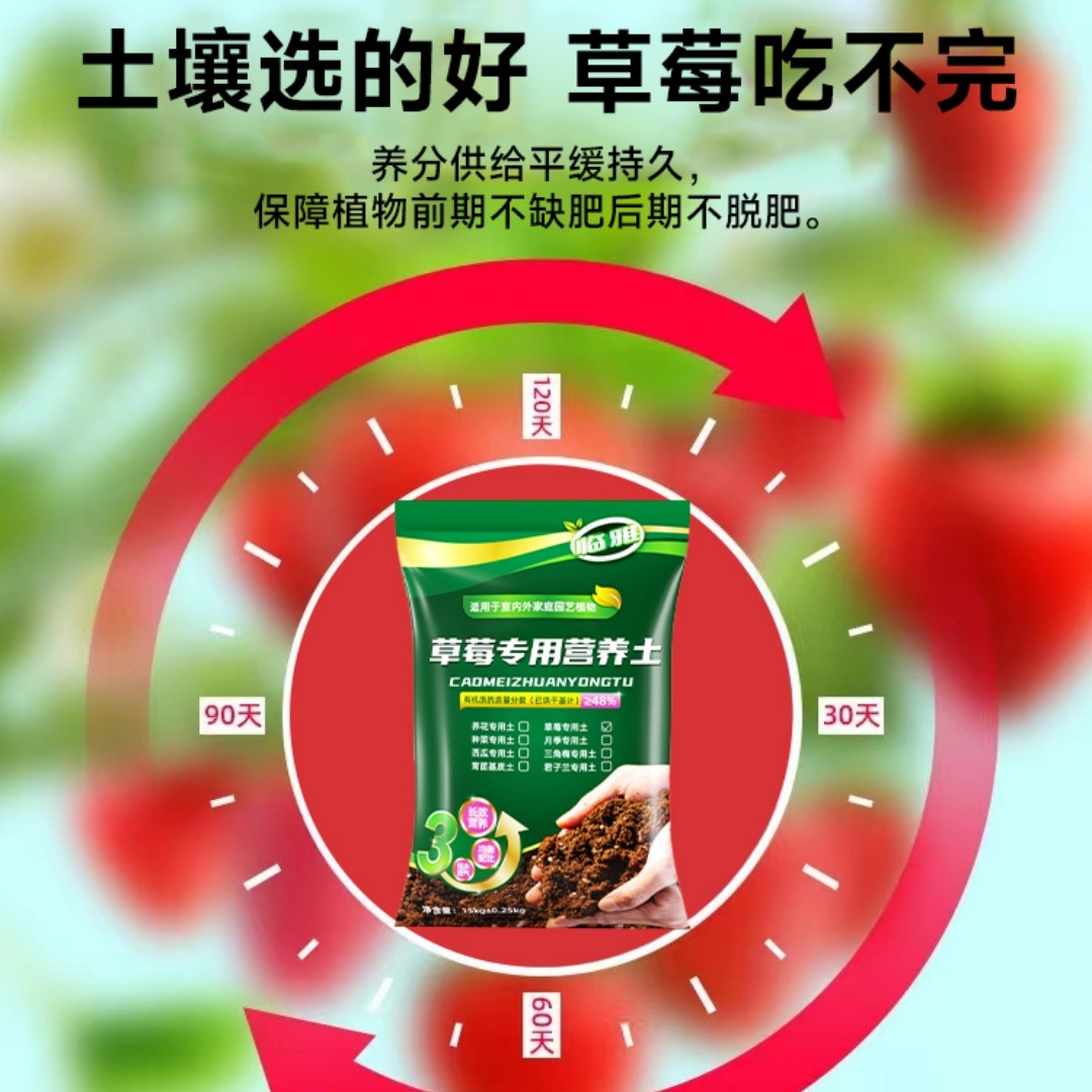 草莓专用营养土盆栽种植土泥土蔬菜种菜育苗土壤阳台肥料批发通用,淘宝优惠券,粉丝福利购,淘宝优惠卷