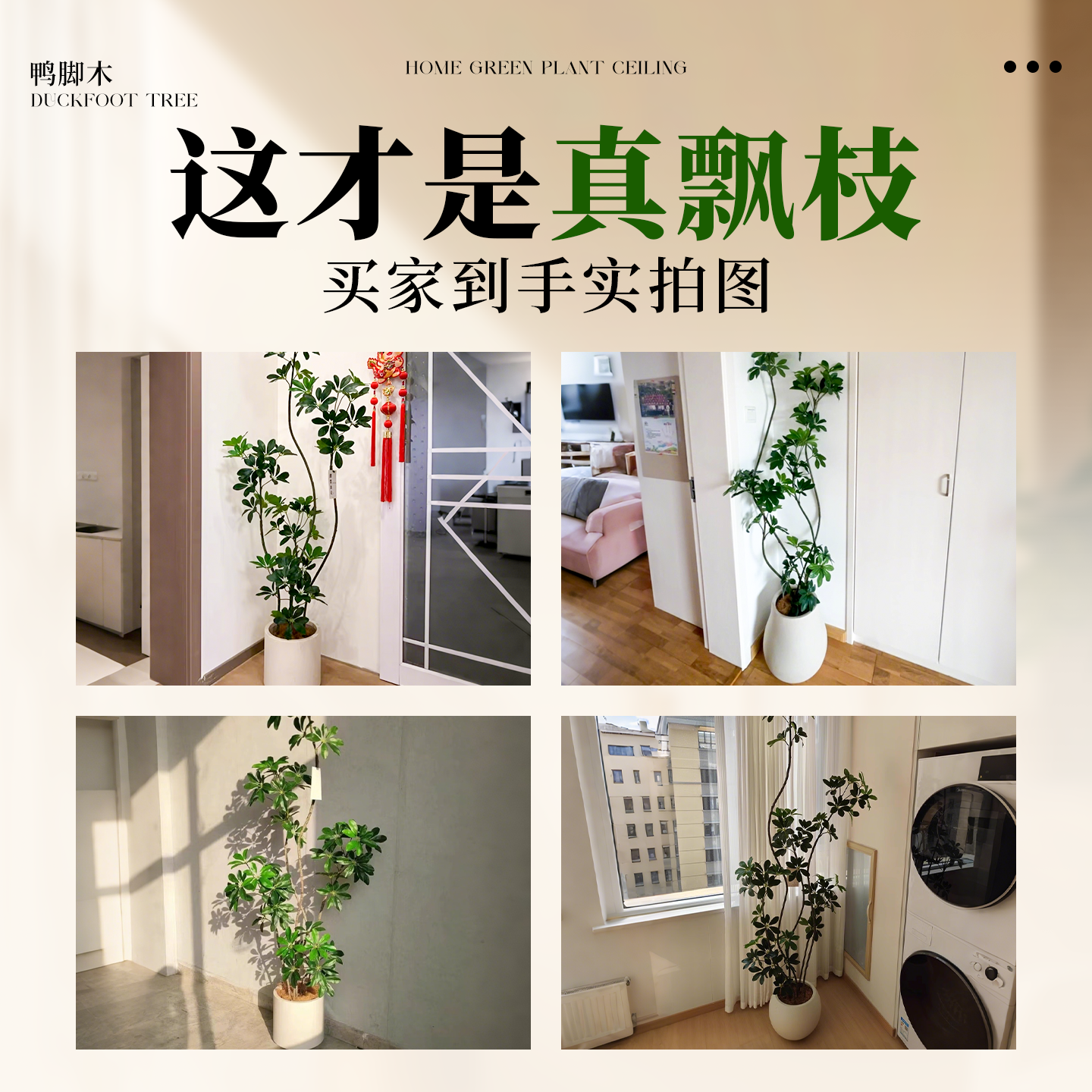 鸭脚木飘枝造型高级感绿植室内办公室客厅大盆栽落地鹅掌柴鸭掌木,淘宝优惠券,粉丝福利购,淘宝优惠卷