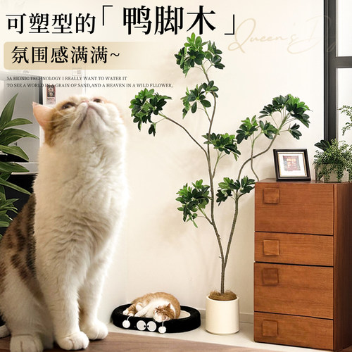 鸭脚木仿真绿植室内客厅高端轻奢大盆栽仿生植物落地装饰摆件假树 - 图1