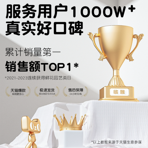 紫荆花树苗庭院种植大盆栽带花发货紫金室外绿植耐寒花卉绿化植物 - 图3