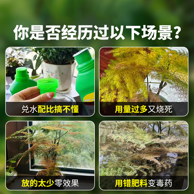 免稀释文竹专用植物营养液治黄叶烂根肥料家用盆栽植物液体复合肥,淘宝优惠券,粉丝福利购,淘宝优惠卷
