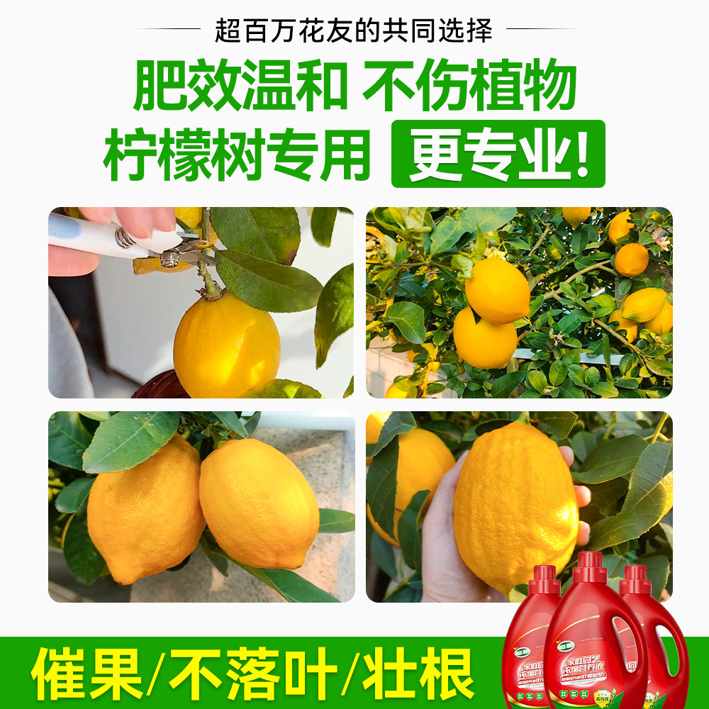 柠檬树营养液室内盆栽绿植物营养液通用型花卉柠檬树盆栽树苗肥料,淘宝优惠券,粉丝福利购,淘宝优惠卷