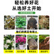 Nutrient soil for flower cultivation, general purpose flower soil, flower planting soil