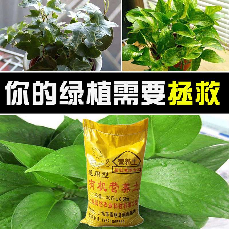 花卉绿植种植营养土有机种菜土壤多肉绿萝草炭土通用型花土泥炭土-图0