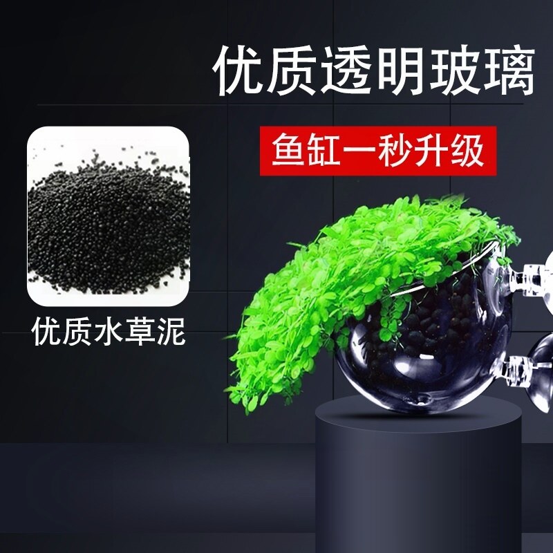 鱼缸水培植物固定器 新人首单立减十元 21年12月 淘宝海外