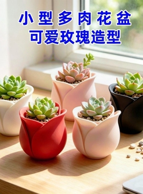 创意玫瑰花盆可种植多肉小型绿植的花盆摆放在窗台、桌面等位置.