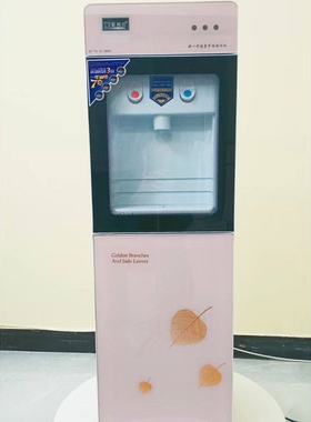 爱珂仕饮水机家用全自动立式节能