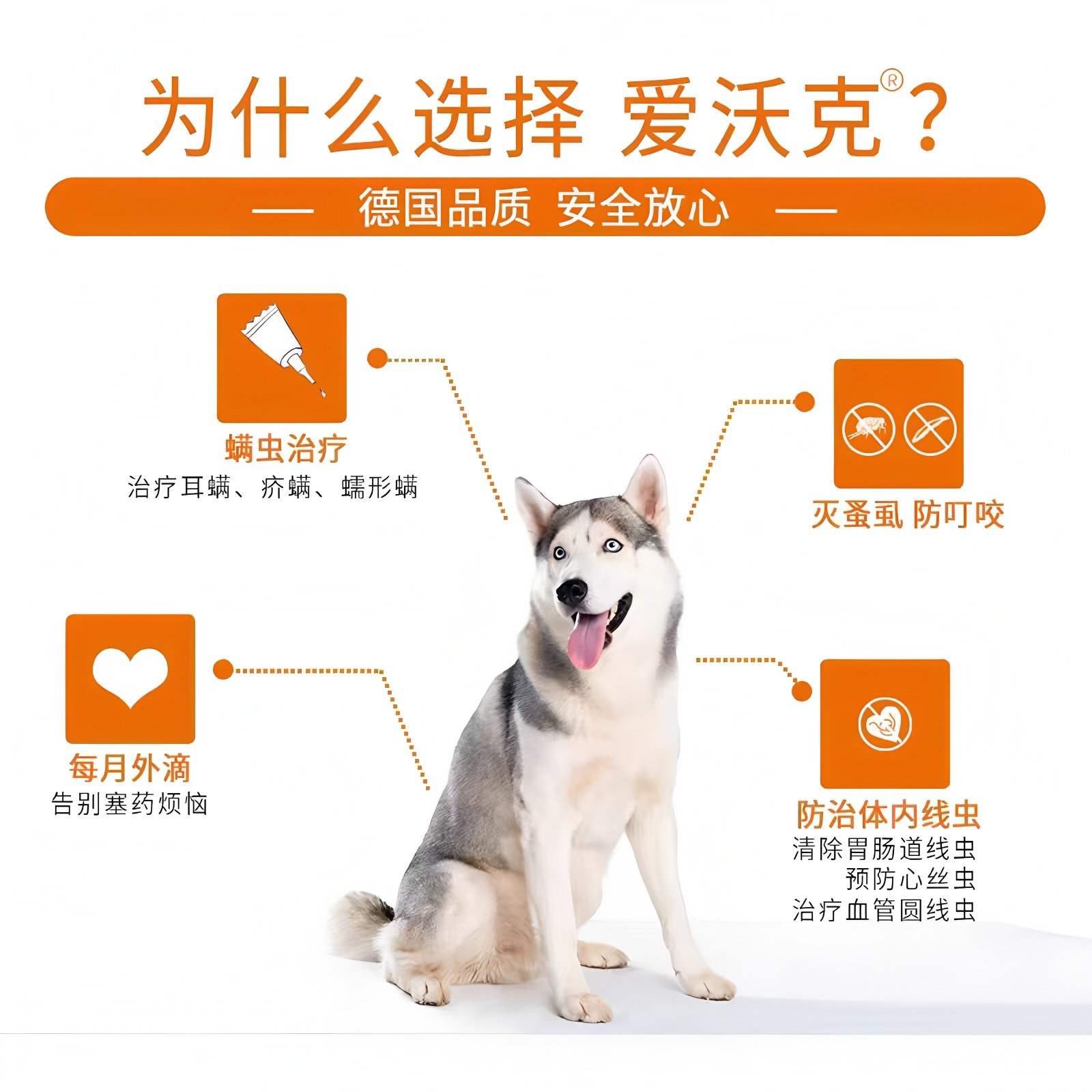 进口爱沃克小中大型犬宠物狗狗犬体内外驱虫药滴剂跳蚤虱子螨虫等,淘宝优惠券,粉丝福利购,淘宝优惠卷