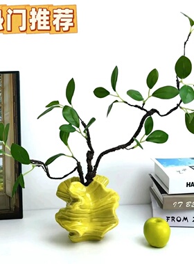 【新家的100个快递】仿真绿植盆栽客厅电视柜装饰桌面摆件高级感
