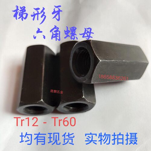 梯形牙螺母外六角粗牙螺帽六角螺帽Tr16T20T24*4T25T30*6T40T60*8 - 图0