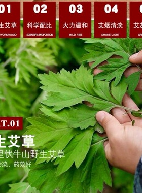 药益宝6cm艾条雷火灸艾条