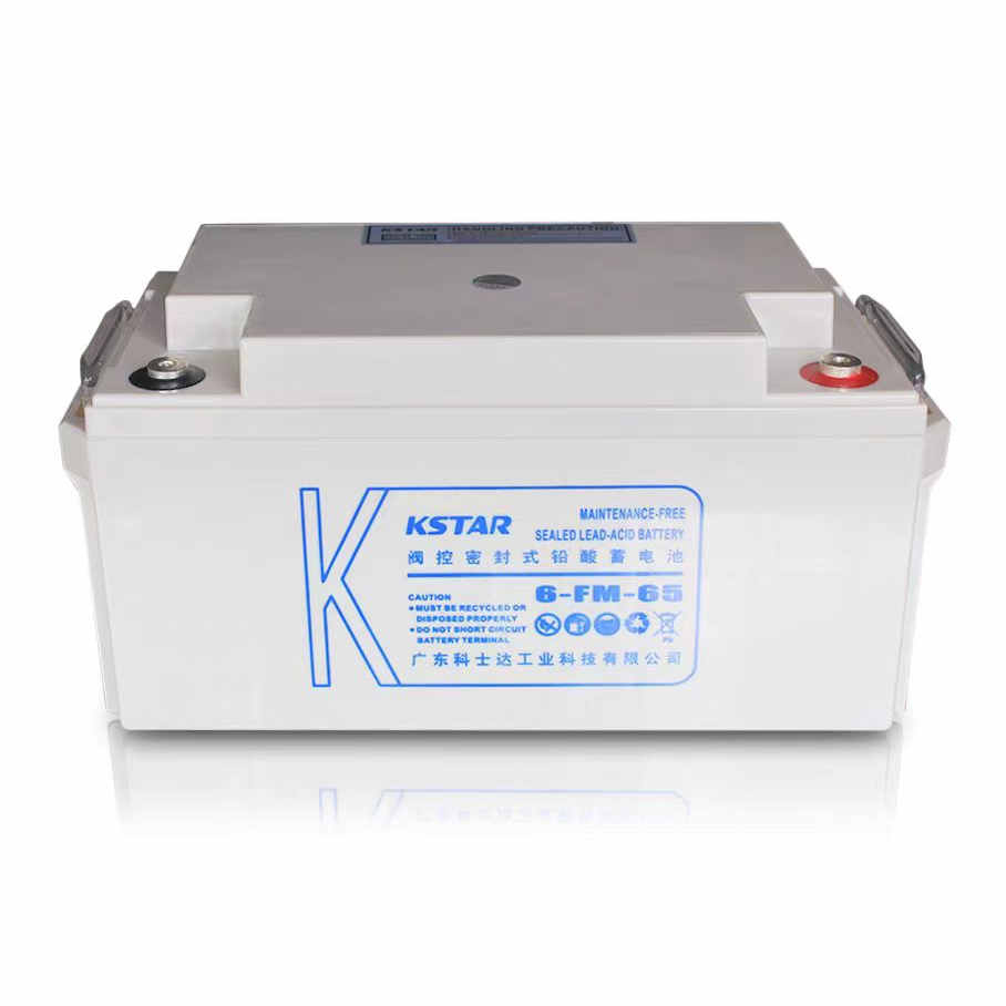 科士达6-FM-38 12V65AH12V24AH12V100AH EPS UPS免维护铅酸电池 - 图2