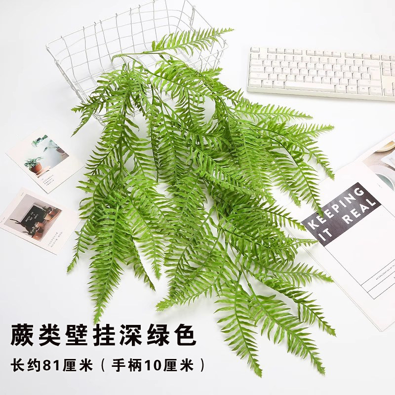 高仿真绿色蕨类植物大叶蕨草热带雨林装饰绿植墙面景观造景配材,淘宝优惠券,粉丝福利购,淘宝优惠卷