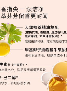 AESOP伊索赋活芳香洗手液滋润清爽洁净手部清洁温和500ml正品ZY