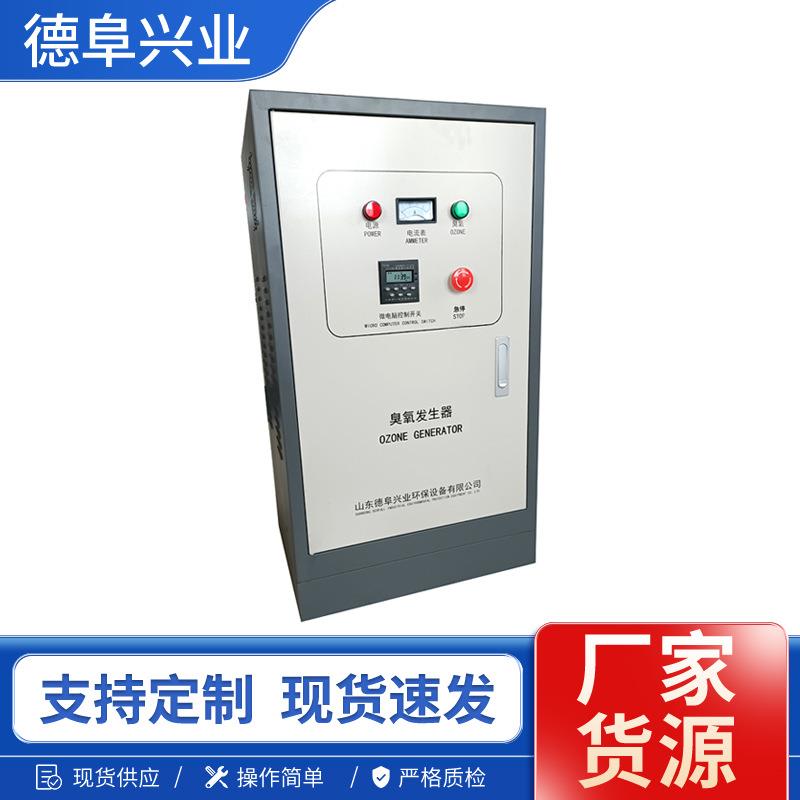 Defu ozone generator 10g stainless steel j chassis food factory pharmaceutical factory sterilization deodorization 5g can be timed