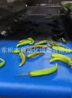 滚子杠分选机选果机核小柿楂山分级机猕猴桃分拣机MAGA-102桃芒果