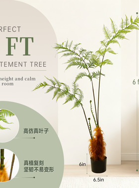 仿真猴头蕨盆栽大型落地绿植 室内禅意造景装饰假植物仿真金丝猴