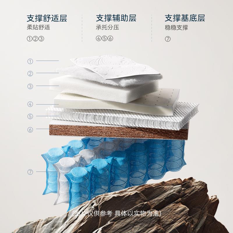 林芃云宿床垫硬垫子棕垫椰棕硬棕榈天然加硬椰棕垫护腰护脊家用 - 图2